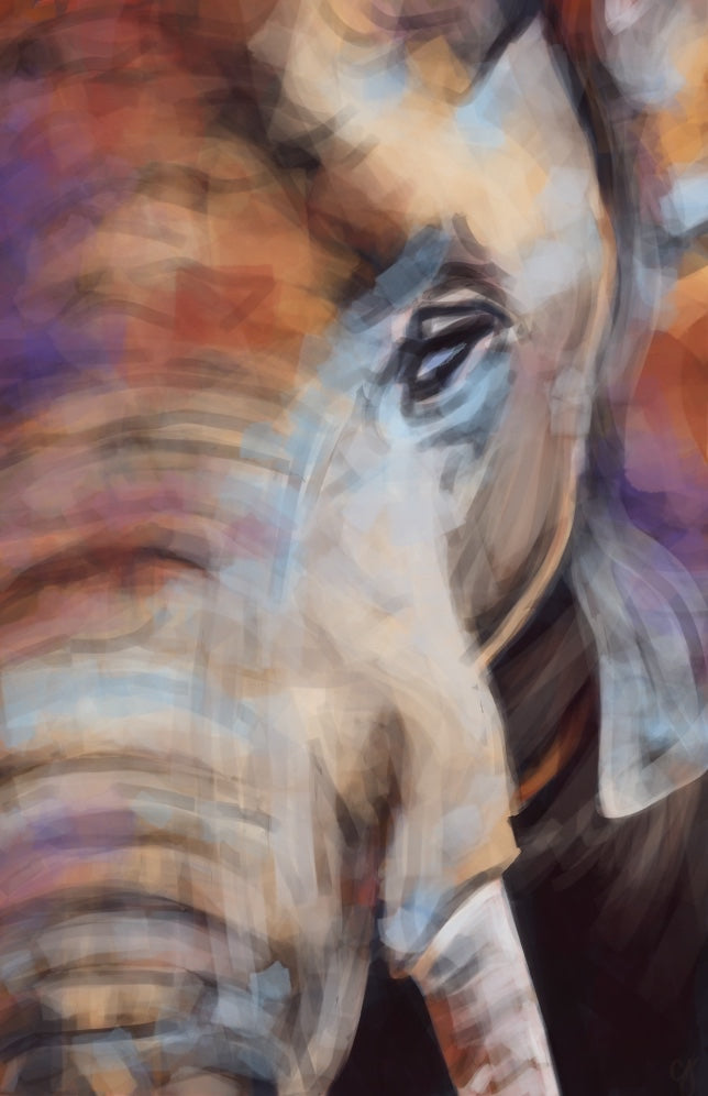 Big Al on Gallery Wrapped Canvas