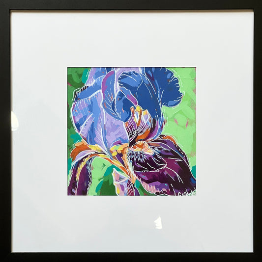 Framed Iris