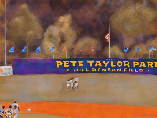 Eagles Win! on Gallery Wrapped Canvas