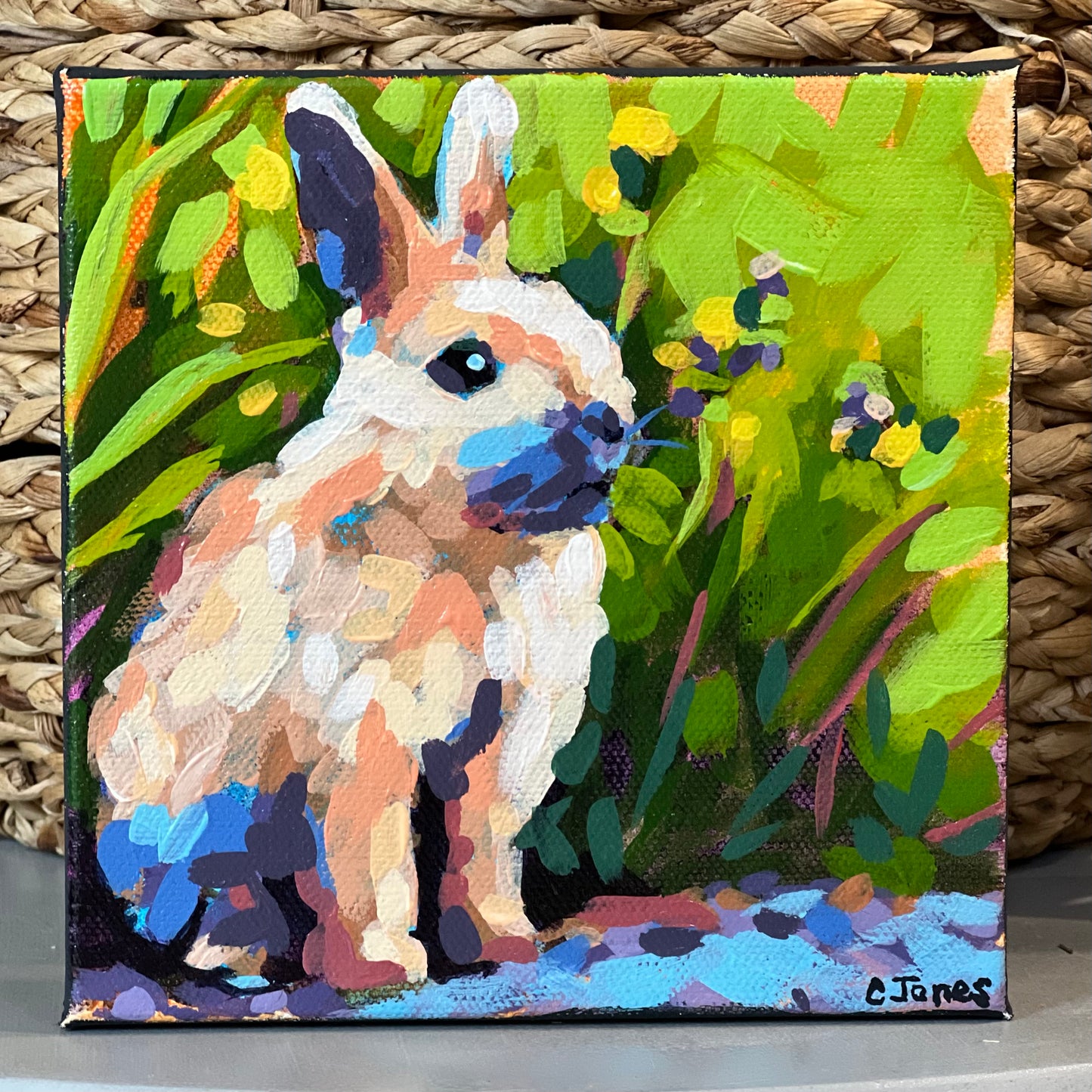 6” x 6” Bunny