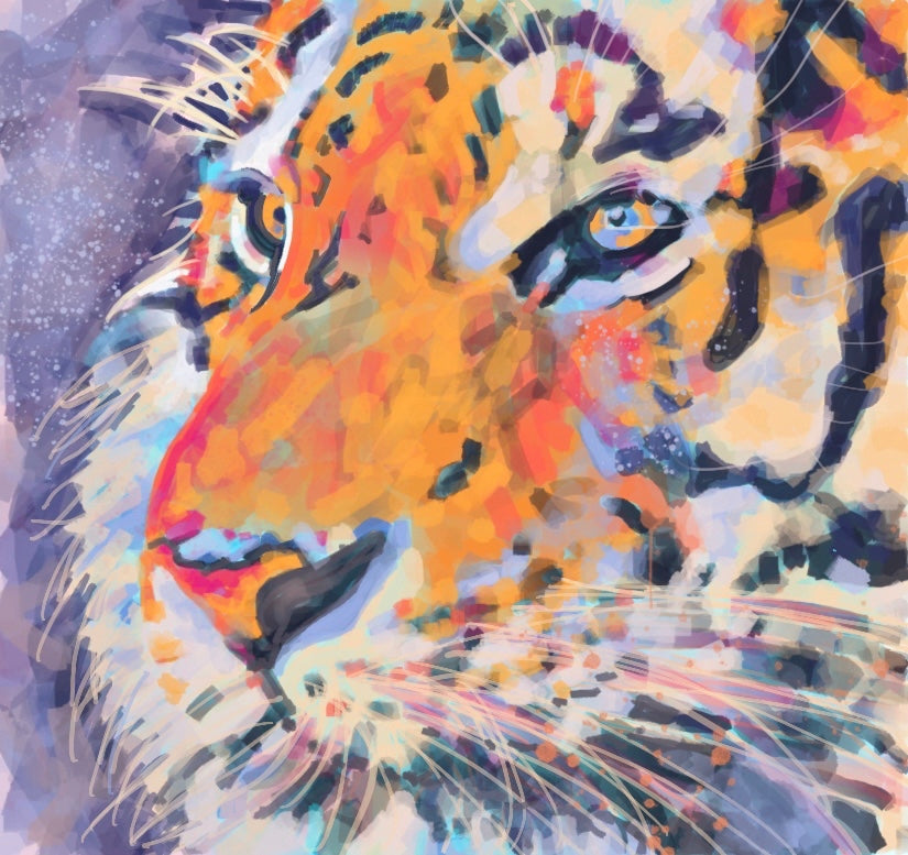 Tiger Giclee on Gallery Wrapped Canvas
