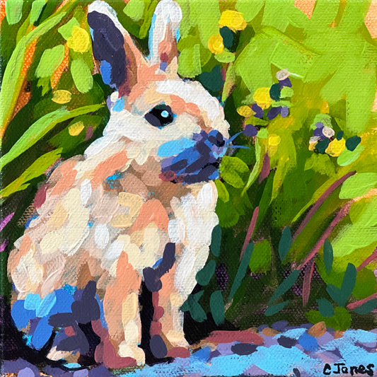 6” x 6” Bunny